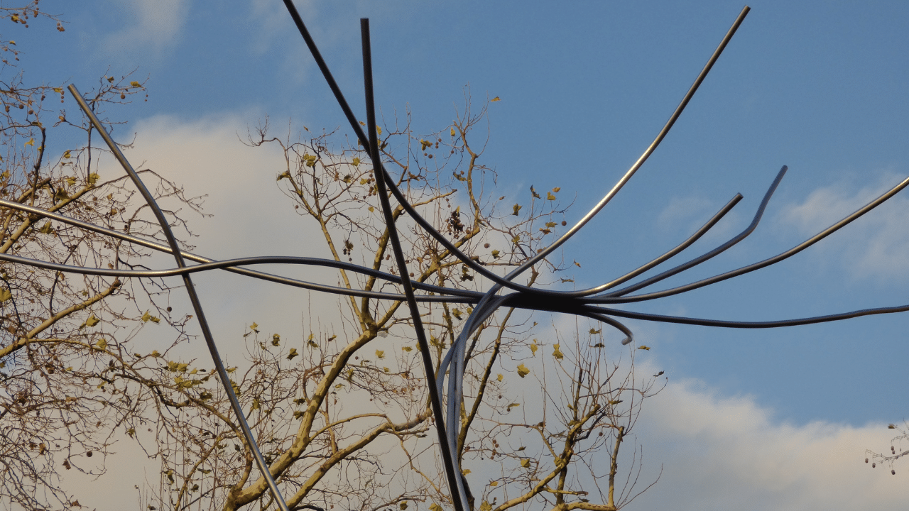 tree cabling and bracing