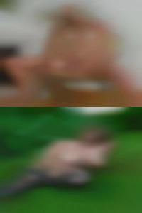 filmerboduch, , 