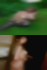 Dennipennisi, , 