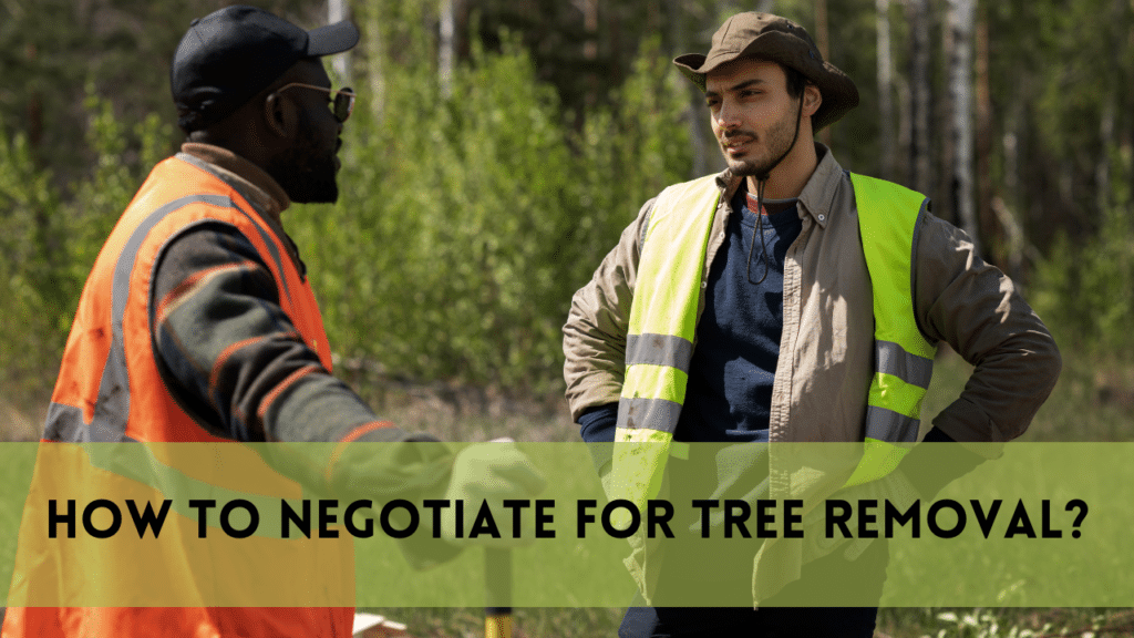 How to Negotiate for Tree Removal | 9 Useful Keypoints