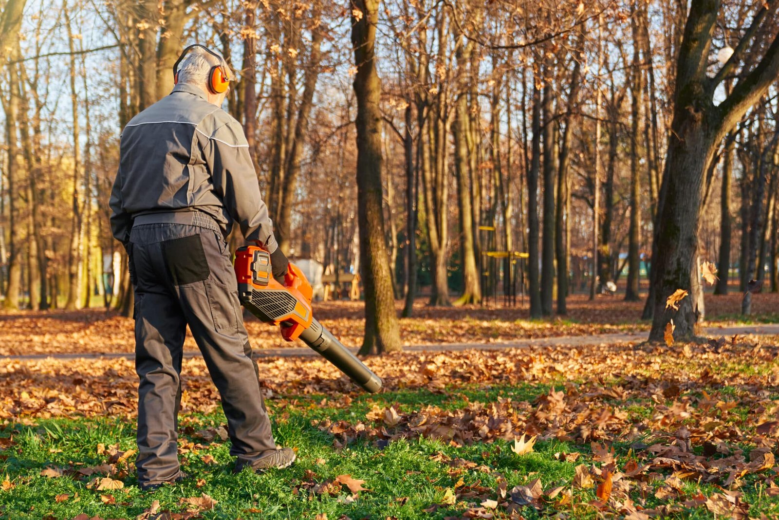 removing a tree causes foundation problems