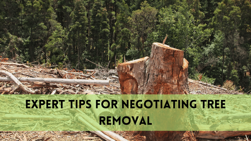 Negotiating Tree Removal | Expert Tips to Win the Best Deal