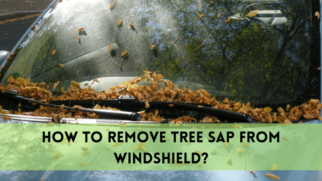 How To Remove Tree Sap from Windshield The Complete Guide
